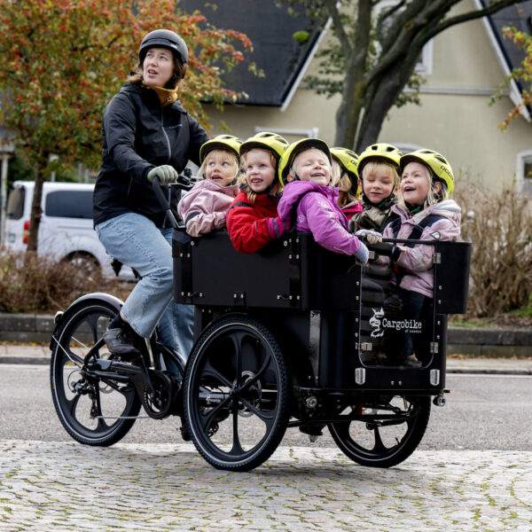 Cargobike of Sweden Delight Kindergarden Laatikkopyörä - Image 4