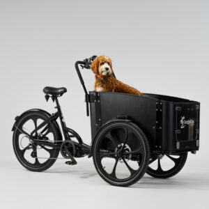 cargobike of sweden delight dog laatikkopyörä