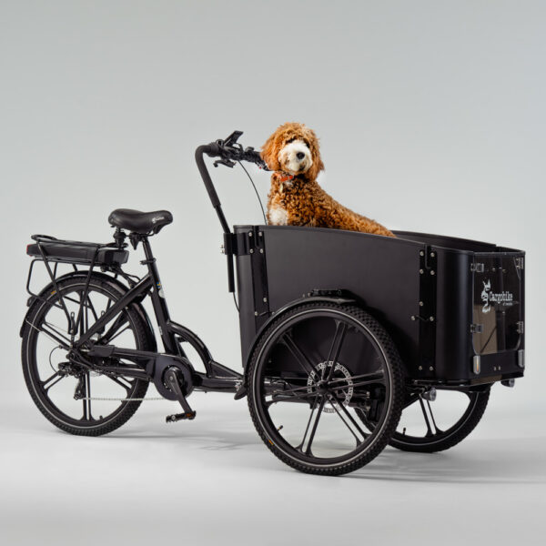 cargobike of sweden flex dog laatikkopyörä